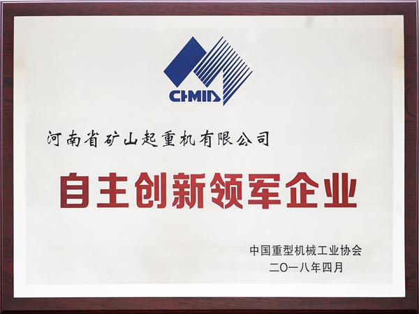 自主创新领军企业