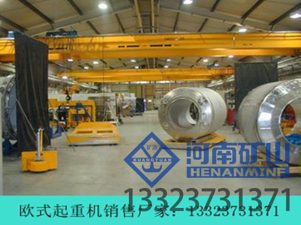 浙江台州3t欧式行吊生产厂家分享3t欧式行吊的应用